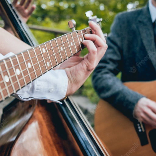 Musicians with a banjo, bass, and guitar